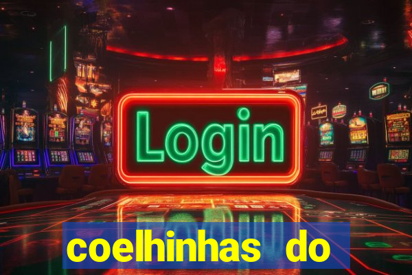 coelhinhas do brasil recife